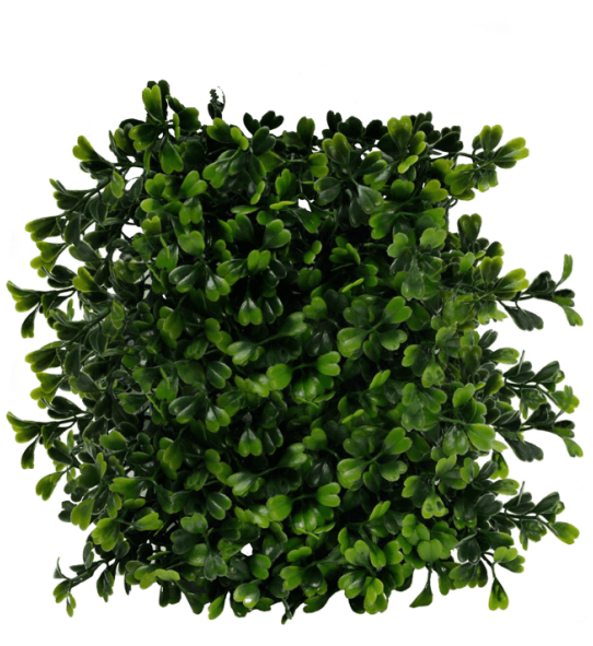Free Png Bush Png Images Transparent - Bush Top View Png (850x620), Png Download