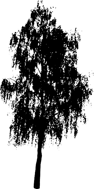 Tree, Bush, Nature, Leaves, Trunk, Silhouette - Oak Tree Silhouette Png (320x640), Png Download