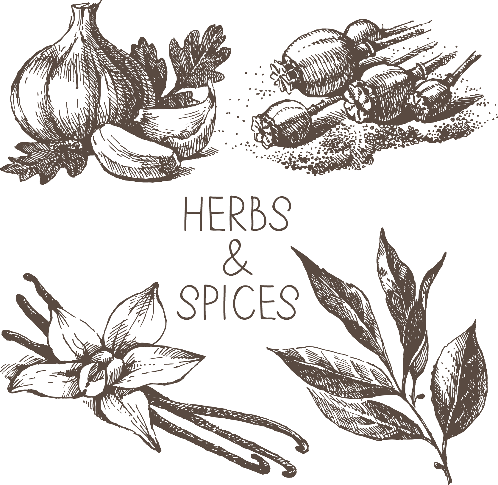 Graphic Black And White Drawing Royalty - Spices Black And White Png (1673x1631), Png Download