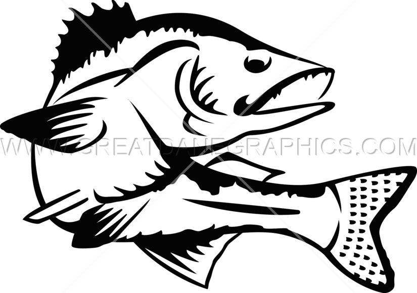 Transparent Library Walleye Clipart - Walleye Line Art (825x580), Png Download