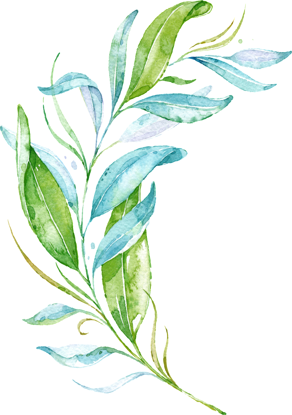 Green Fresh Watercolor Branches Transparent (1024x1457), Png Download