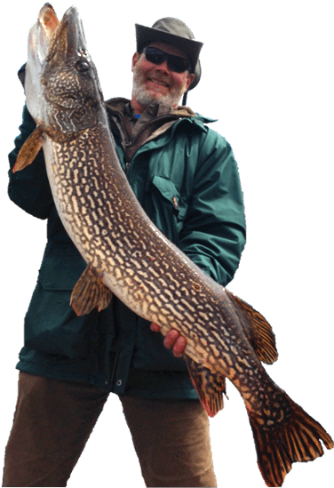 Walleye Northern Pike - Catching Fish Png (706x567), Png Download
