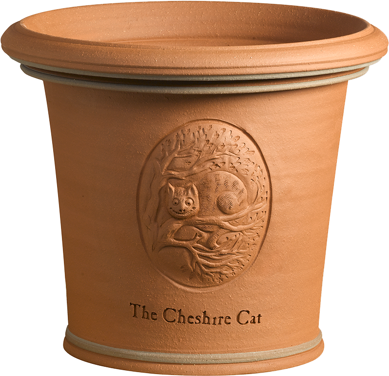 Cheshire Cat - Cup (859x900), Png Download