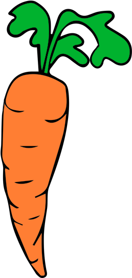 Png Stock Carrot Clipart Orange - I'm Vegan, Which Means I Love All Living Things. Except (300x594), Png Download