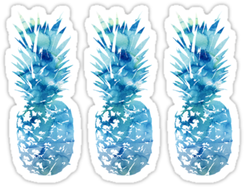 One Duck Two Ananas Cushion (375x360), Png Download