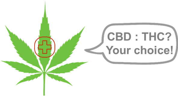 Customize Your Own Hemp Variety With Phytowelt - Pot Leaf (648x394), Png Download