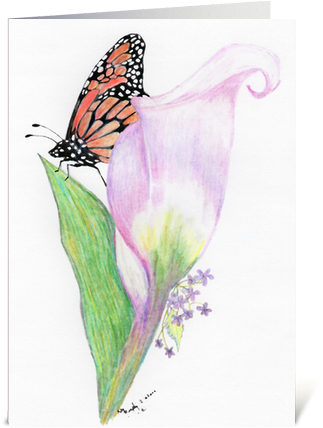 Butterfly And Lilly Greeting Card - Iris (435x429), Png Download