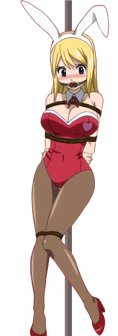 Lucy Heartfilia Tied Up And Gagged 5 By Songokussjsannin8000 - Lucy Heartfilia Hentai Bondage (466x1126), Png Download