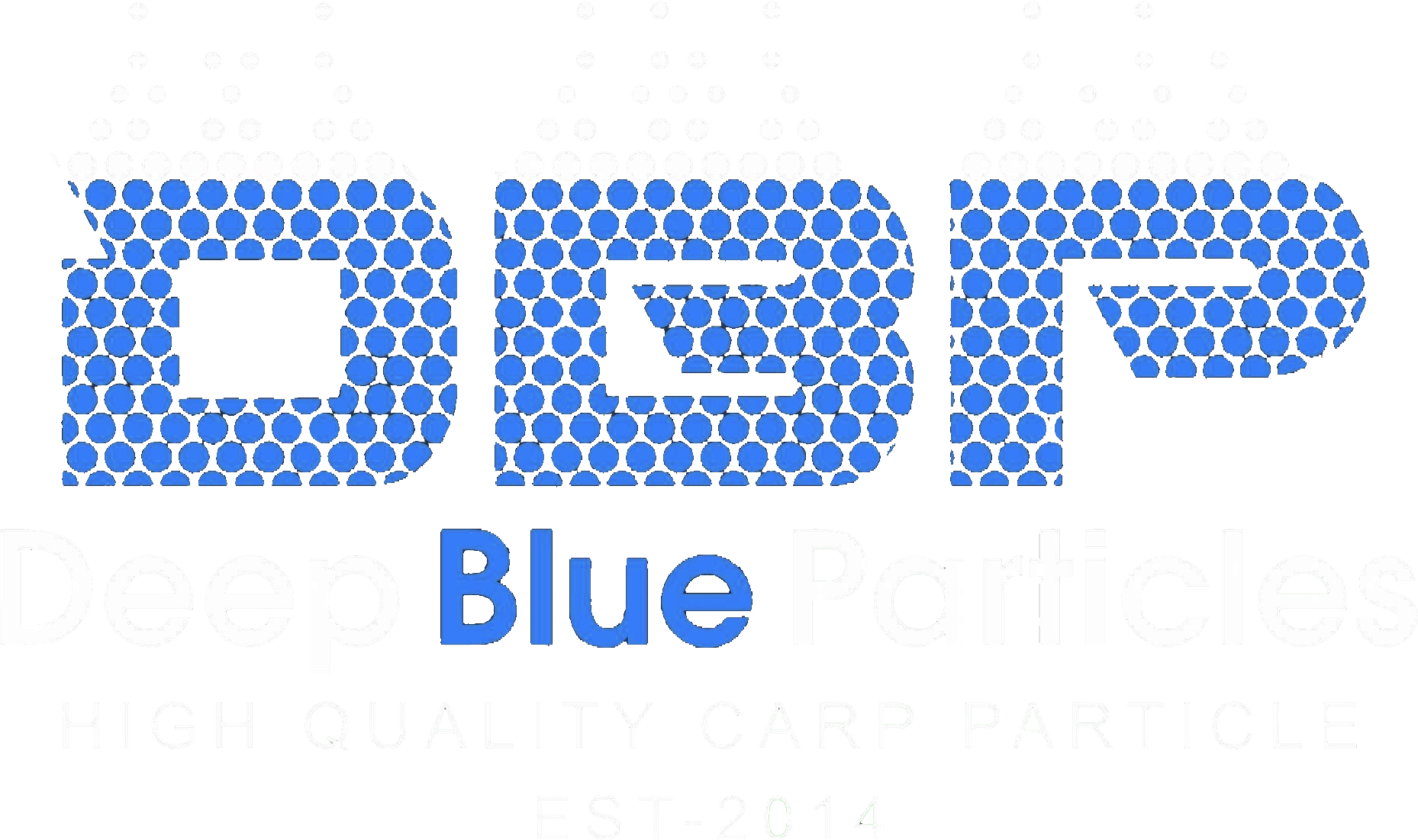 Browse Our Wide Range Of Particles - Sultan Ahmed Mosque (2011x1286), Png Download