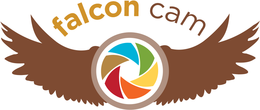 Dayton's Favorite Falcons - Graphic Design (900x422), Png Download