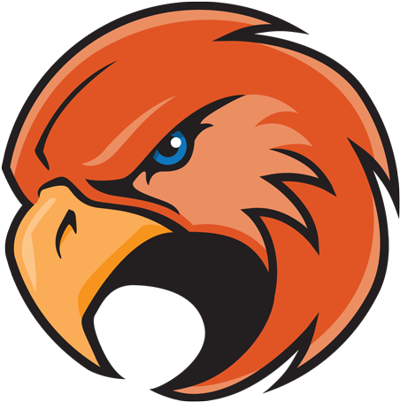 Falcon Logo Png - Falcons Logo Design (495x497), Png Download