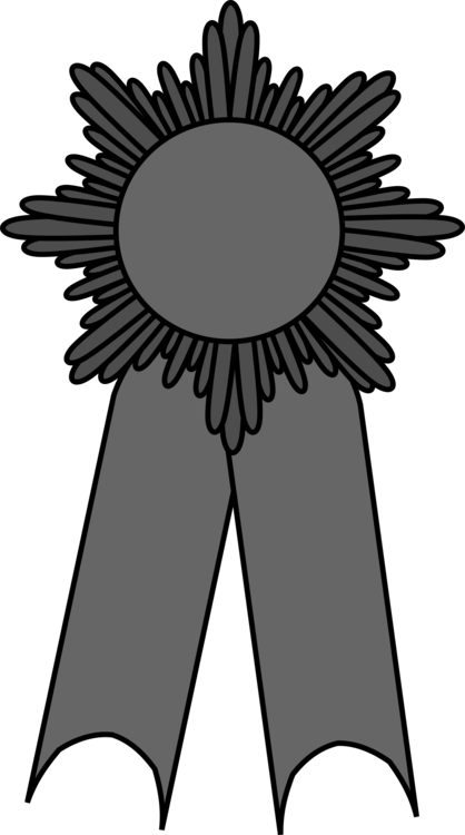 The Bernina Connection Silver Award Girl Scouts Of - Clip Art (418x750), Png Download