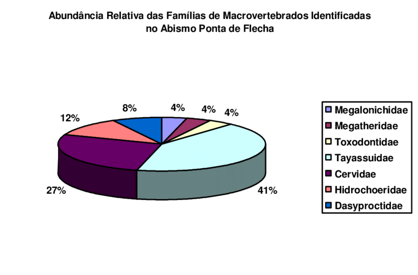 Gráfico Que Representa A Abundância Relativa No Abismo - Diagram (850x564), Png Download