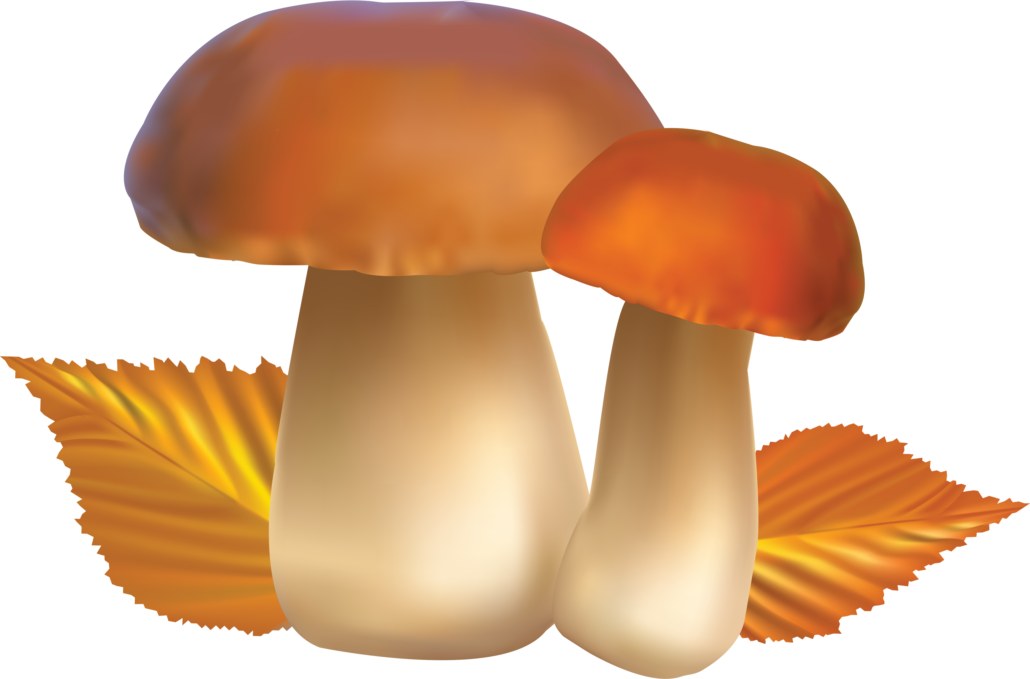 Clipart Food Mushroom - Гриб Пнг (3569x2352), Png Download
