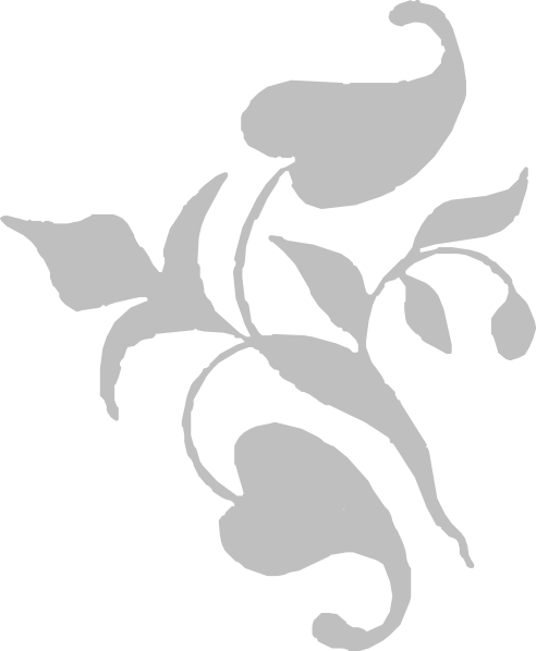 How To Set Use Vines Icon Png (492x598), Png Download