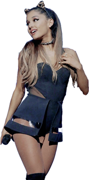 Ariana Ariana Grande Png Transparent Overlay Pngs Transparents - Overlay Ariana Grande (500x740), Png Download