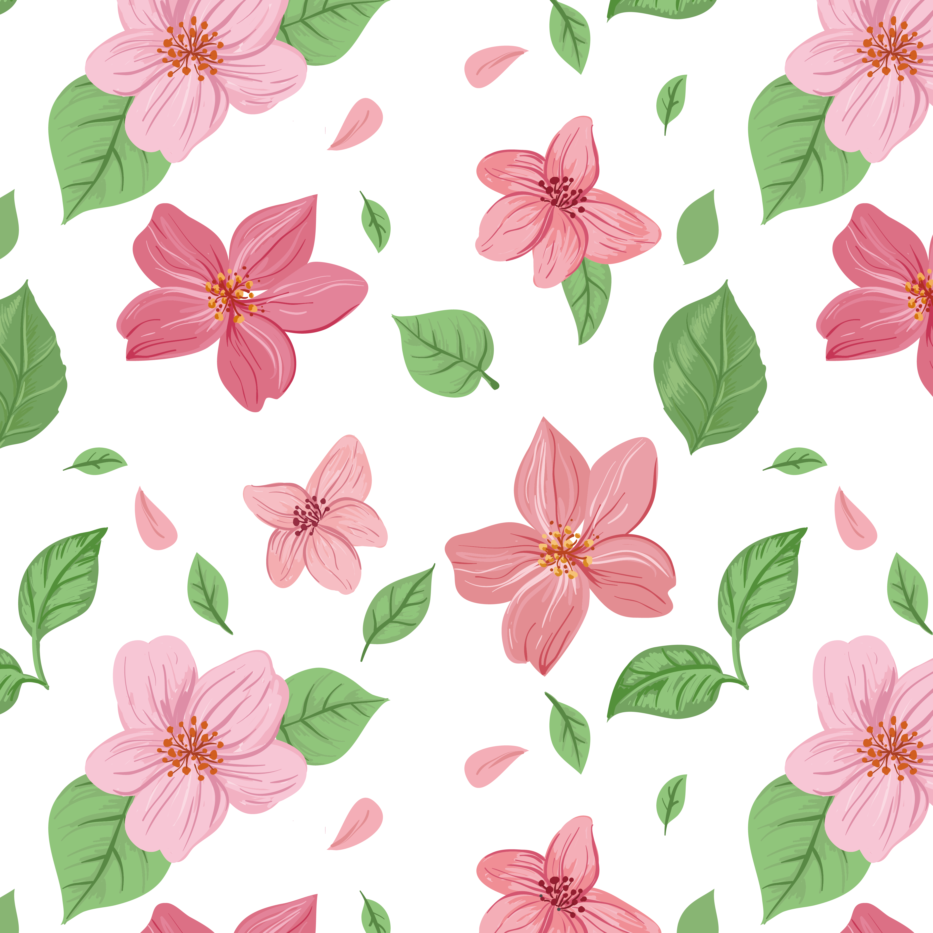 Pink Flowers Euclidean Vector (3750x3750), Png Download