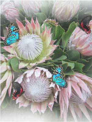 King Protea & South Africa Cotton Linen Wall Tapestry - King Protea (500x500), Png Download