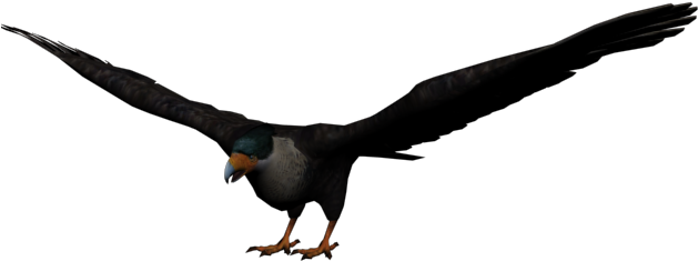 Eagle - Aguila Png (640x480), Png Download