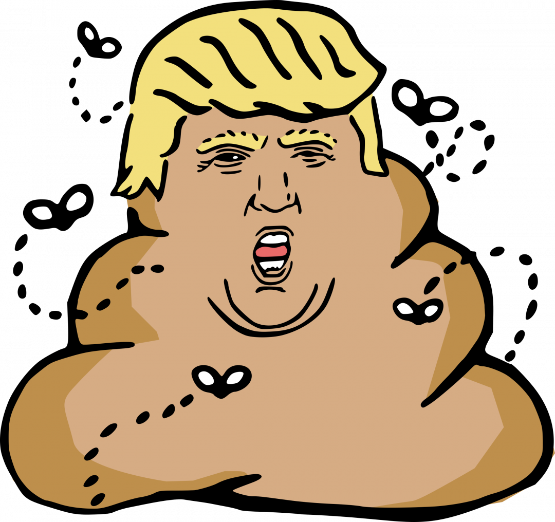 Donald Trump, Turd - Donald Trump Poop Emoji (1080x1016), Png Download