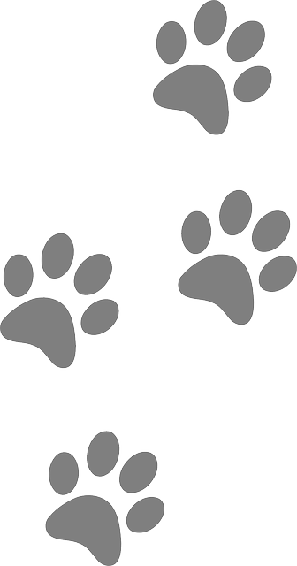 Drawing Footprints Dog Claw Image Freeuse Download - Huellas De Perro Png (336x640), Png Download