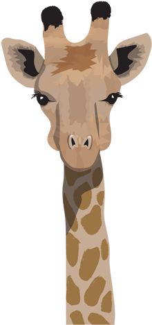 Giraffe (350x507), Png Download