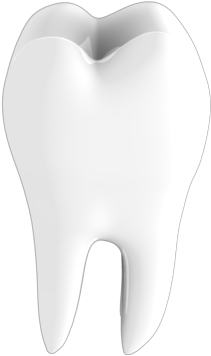 Tooth Png Image - Portable Network Graphics (800x600), Png Download