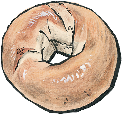 All Breads - Drawing Of Bagel (400x377), Png Download