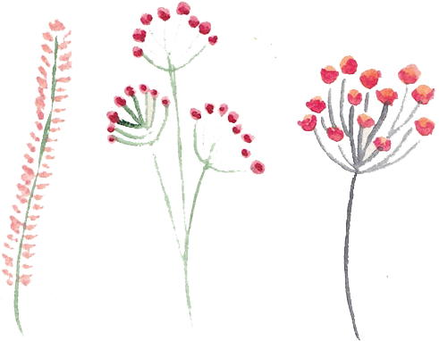 Free Background With Watercolors And Flowers Download - Watercolor Painting (516x404), Png Download
