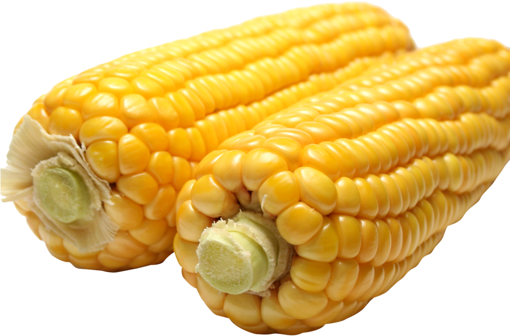 Corn Png Image1 - Background Transparent Corn On The Cob Png (1024x768), Png Download