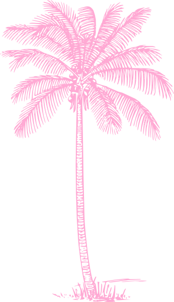 Coconut Tree Pencil Drawing (342x592), Png Download