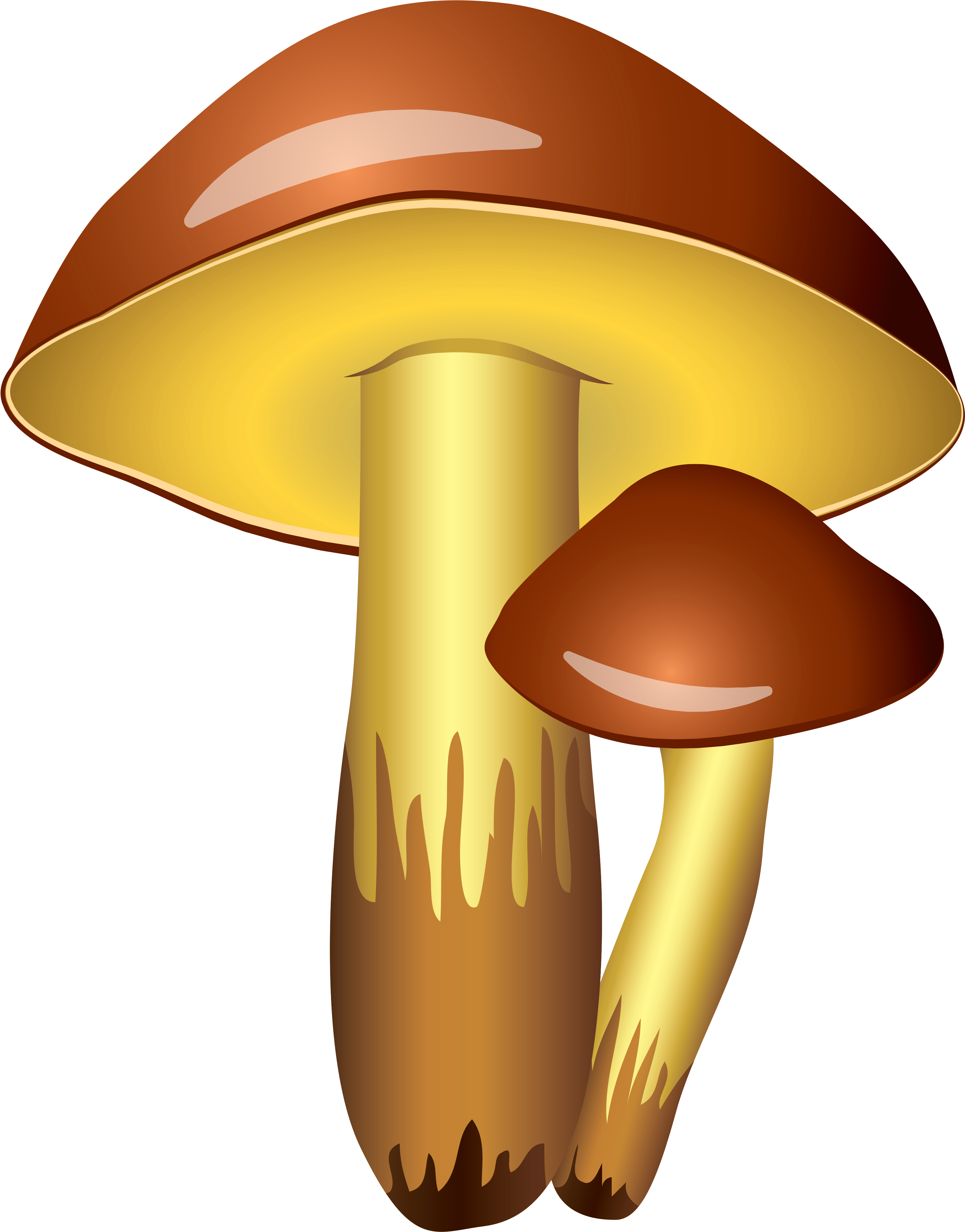 0, - Mushroom Clipart Transparent Background (500x600), Png Download