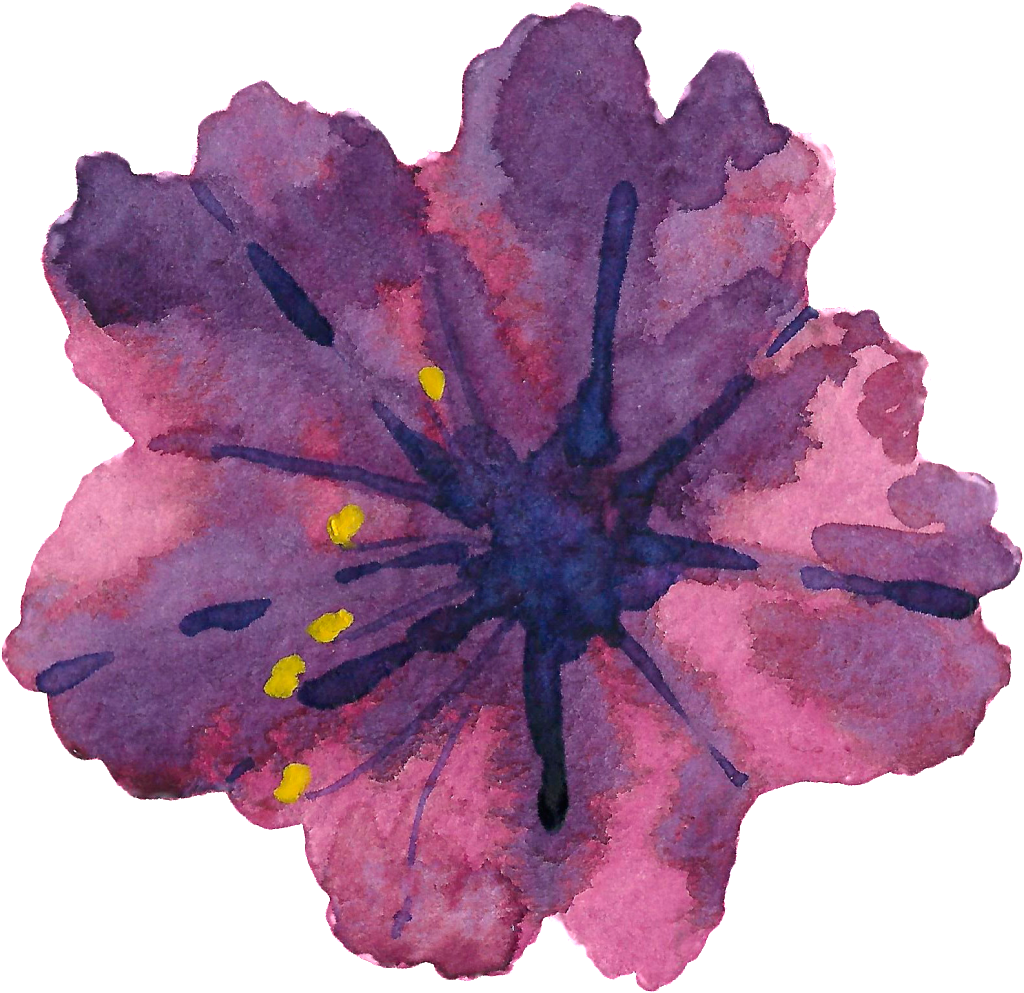 Este Gráficos Es Pintado A Mano De Purple Hibiscus - Portable Network Graphics (1024x993), Png Download