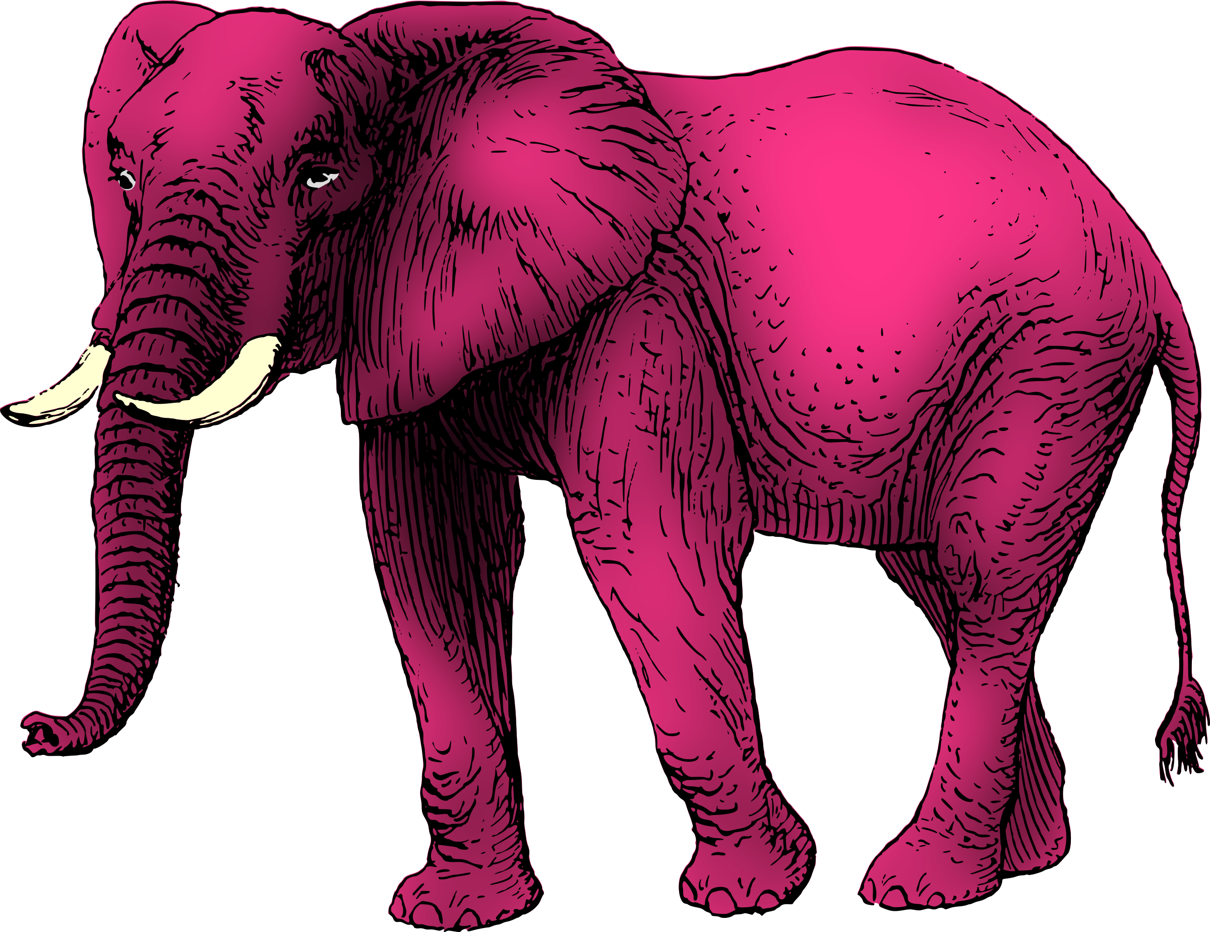 This Free Icons Png Design Of Pink Elephant (2400x1849), Png Download