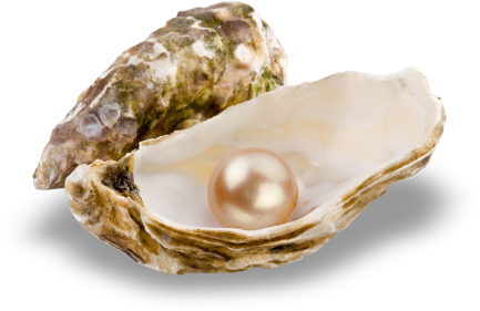 Pearl-stringing - Oyster With Pearl Png (433x281), Png Download