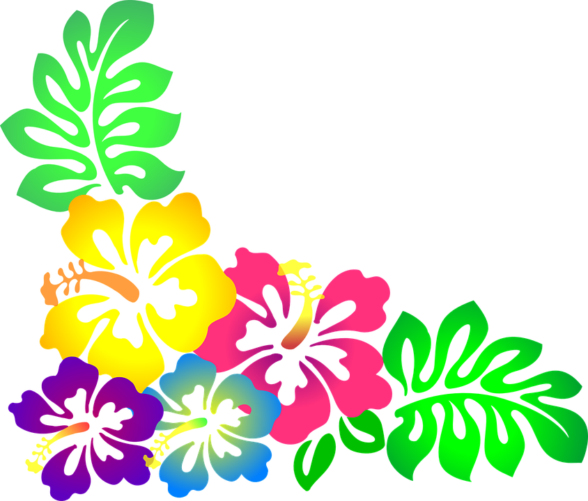 Png Stock Pin By Irma On Moana Pinterest Clip - Clipart Hawaiian Flowers (844x720), Png Download