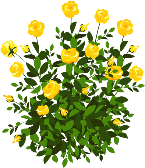 Yellow Rose Bush Png Clipart Picture Clipart Flowers - Flower Bushes Clipart Png (536x600), Png Download