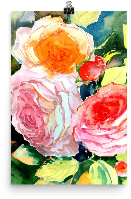 Bright And Floral Rose Watercolour Print Matte Poster - Watercolor Painting (1000x1000), Png Download