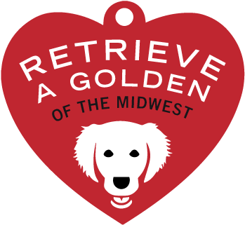 Auction Preview - Retrieve A Golden Of The Midwest (ragom) (360x360), Png Download