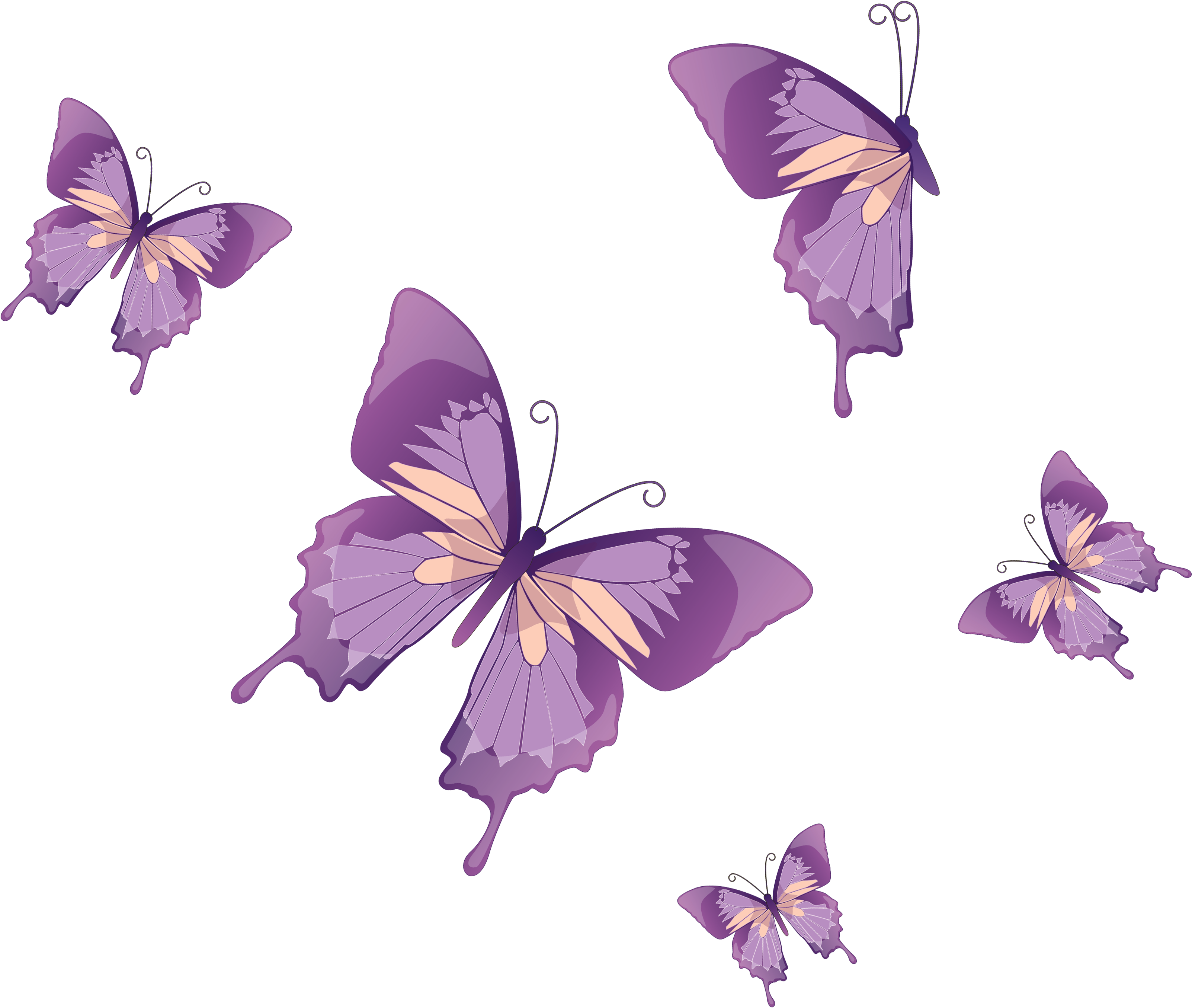 Pink Butterfly Vector Png - Floral Flower Wall Mural 39 (3344x2883), Png Download