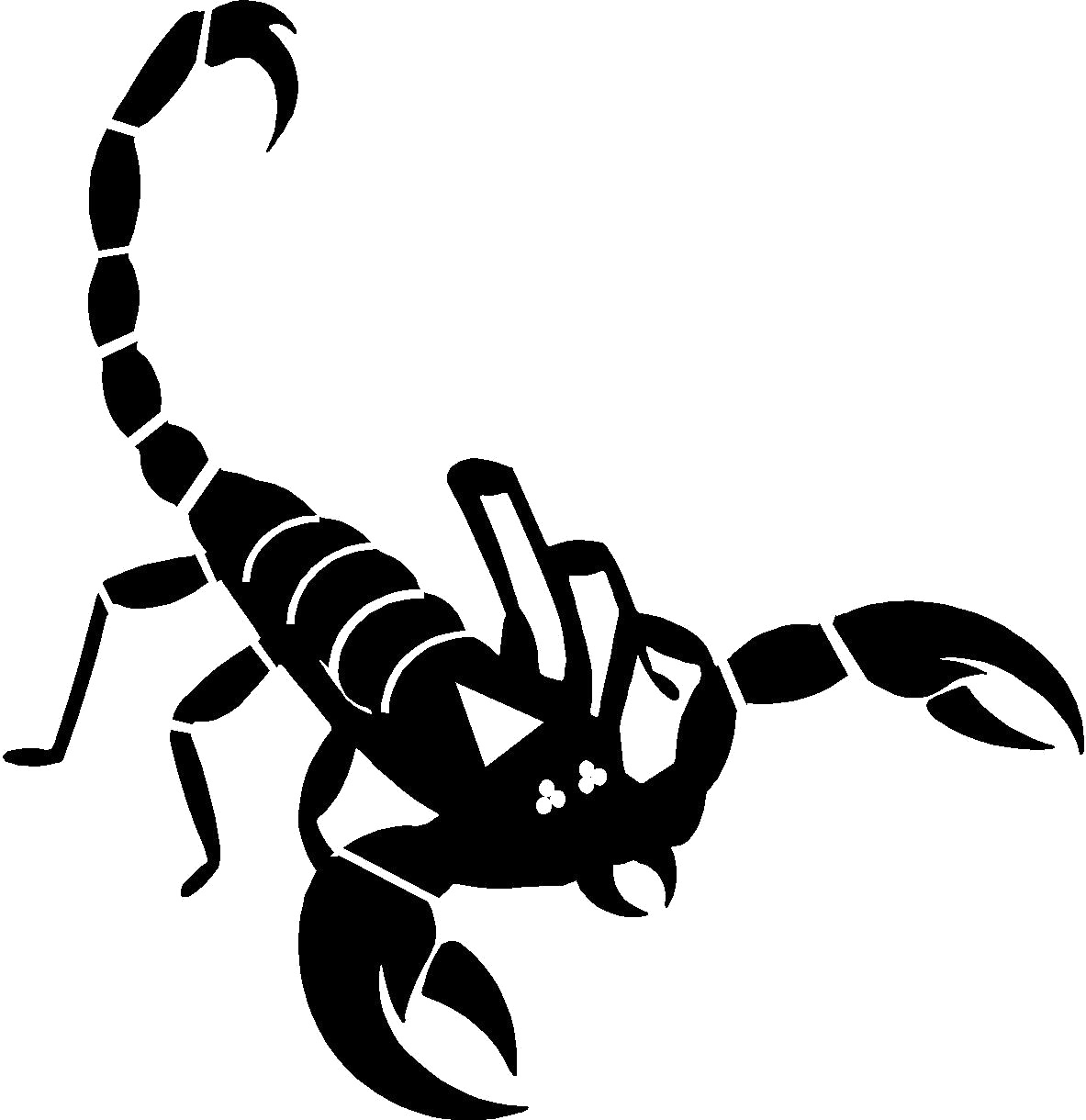 Scorpion Png File - Scorpion Png (1183x1220), Png Download