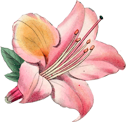 Chapter Vi - “ - Par S (413x400), Png Download