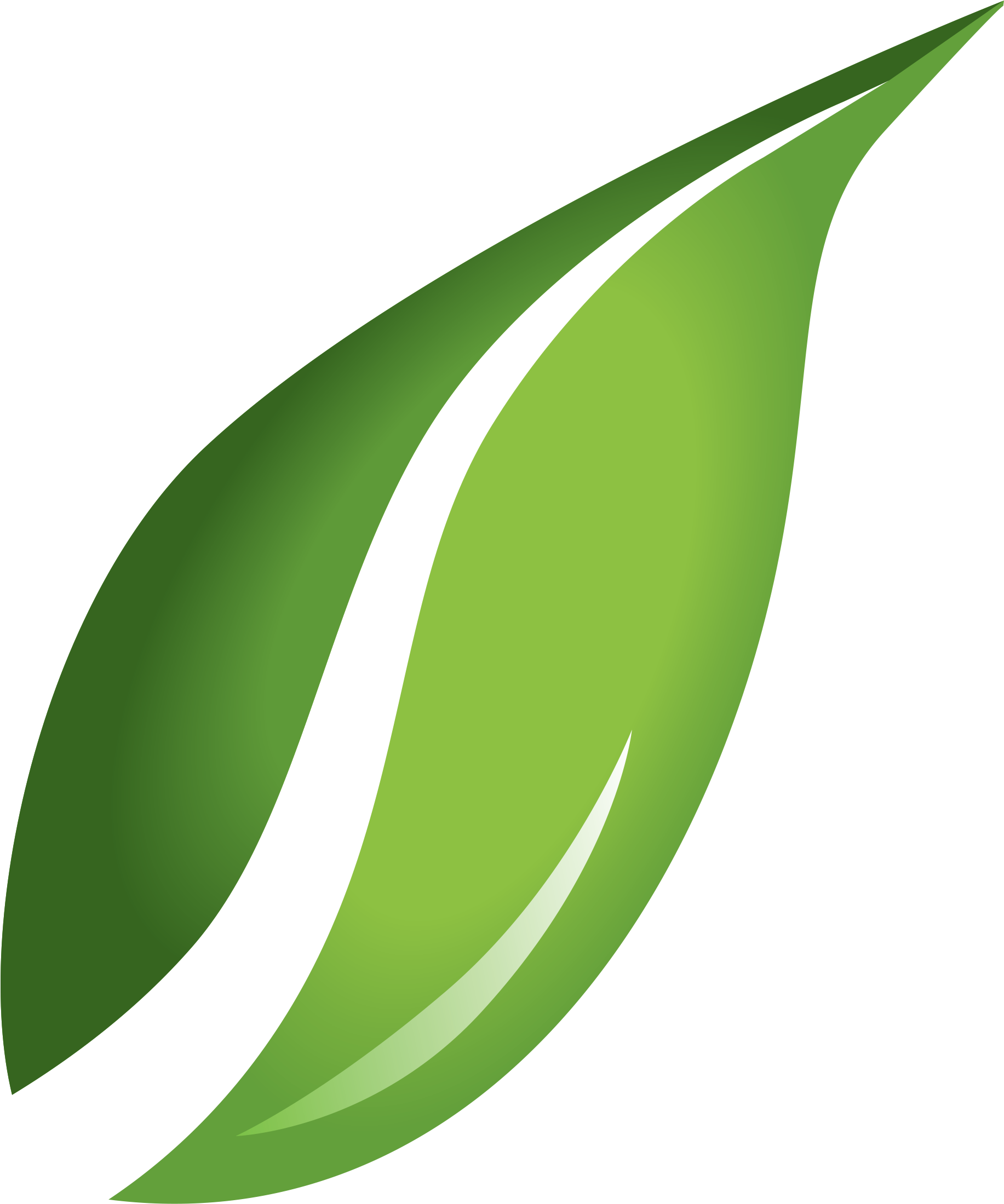 Free Icons Png - Transparent Background Clipart Of Leaves (1885x2257), Png Download