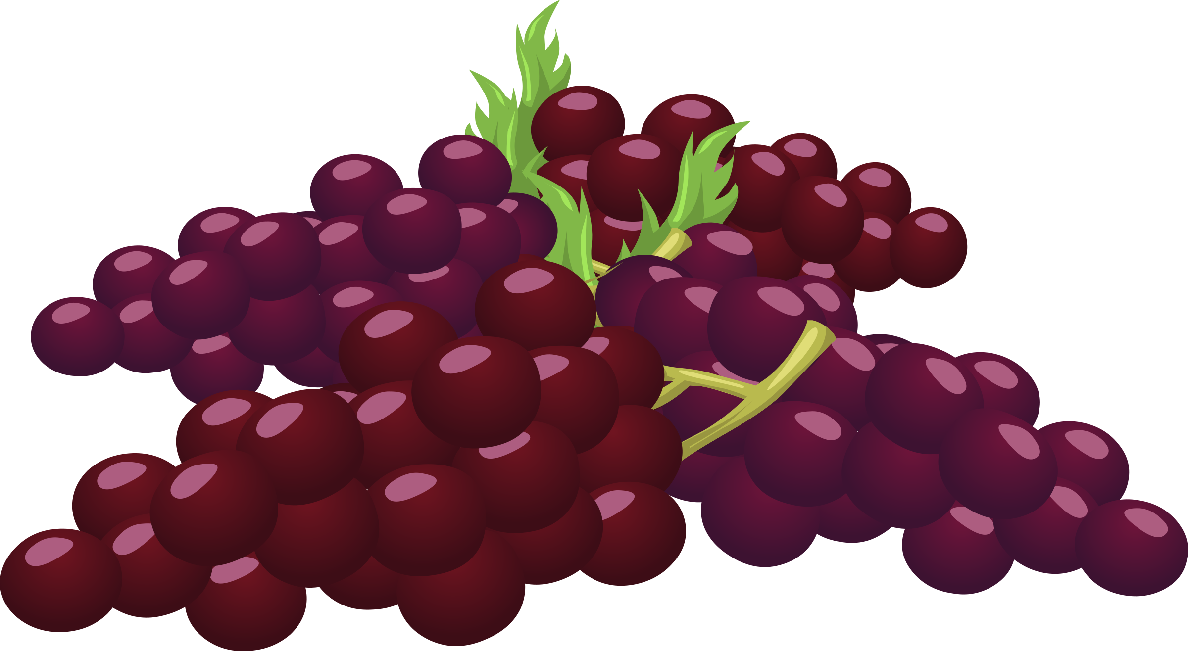 Bunch Of Grapes Clipart (500x273), Png Download
