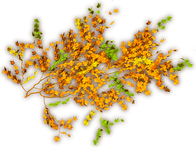 12 288k Creepers Greens A 06 Feb 2009 - Plants (640x480), Png Download