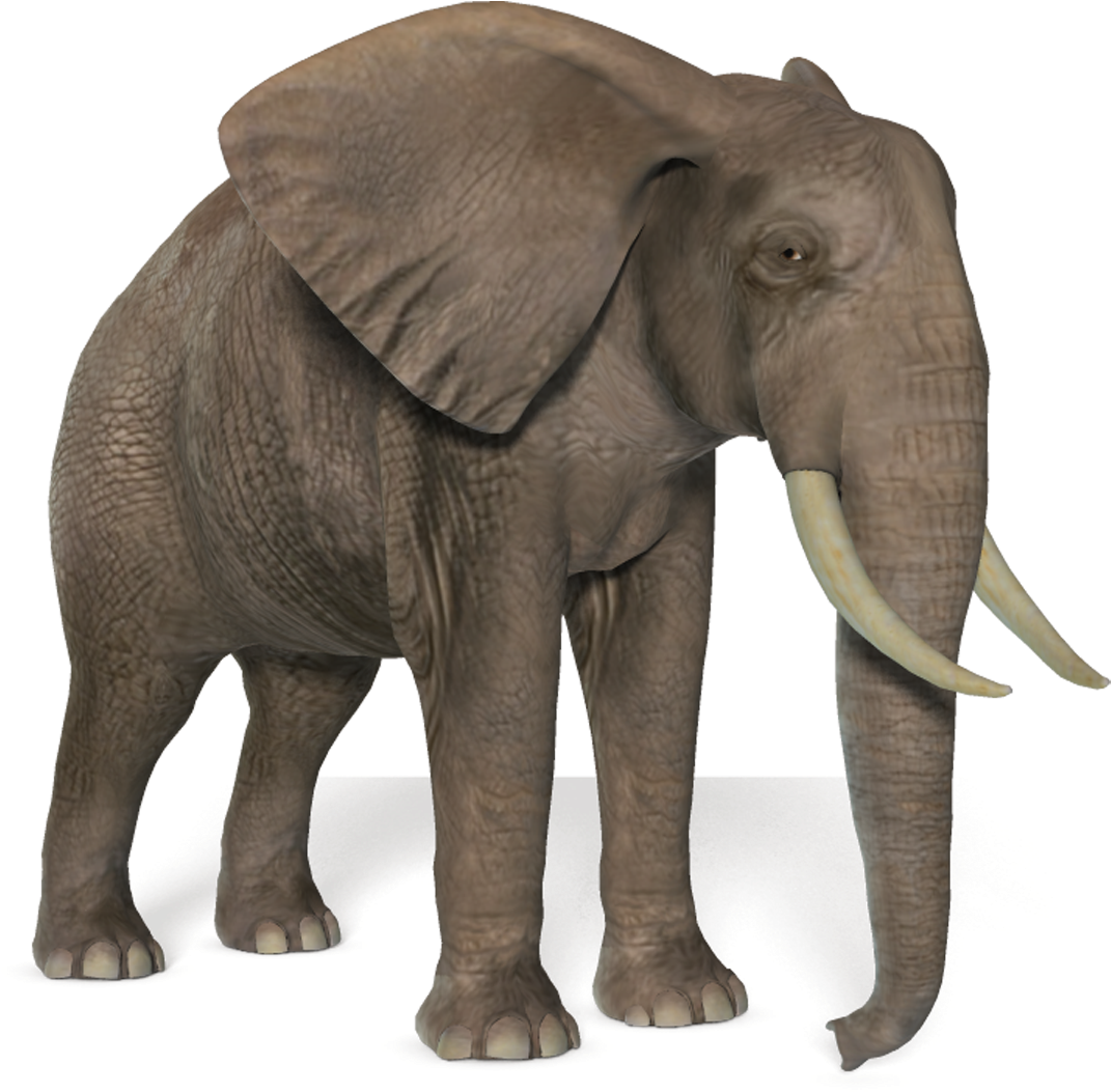 Elephant Png Picture - Elephant Png Hd (1200x1200), Png Download