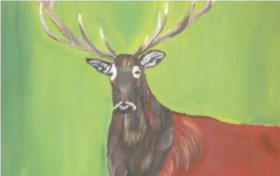 Red Stag 12 - Elk (1050x350), Png Download