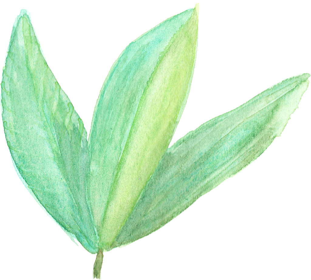 Hand Painted Three Leaves Branches Transparent - Agave (1024x920), Png Download