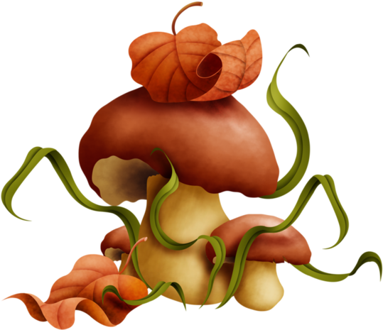 Champignons,png,tubes - Clip Art (600x545), Png Download