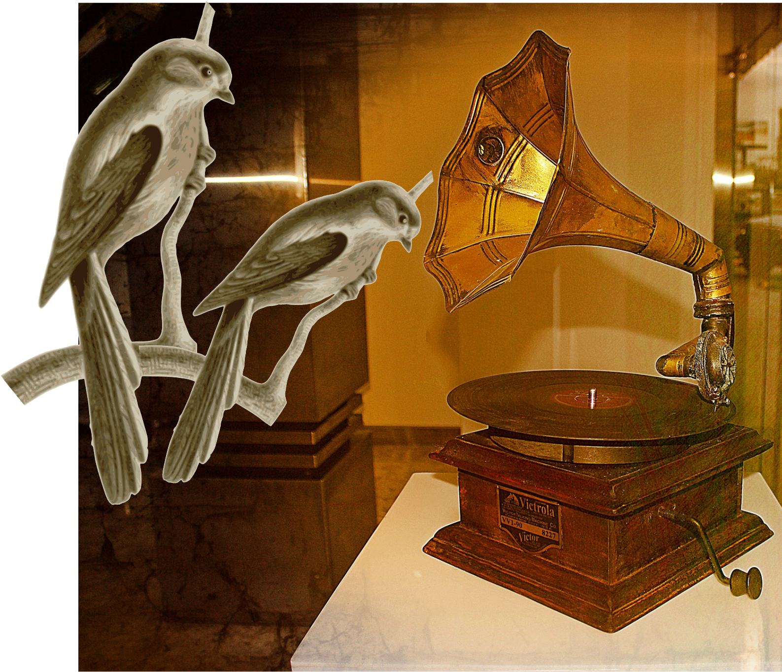 Birds Listening - Music (1695x1683), Png Download